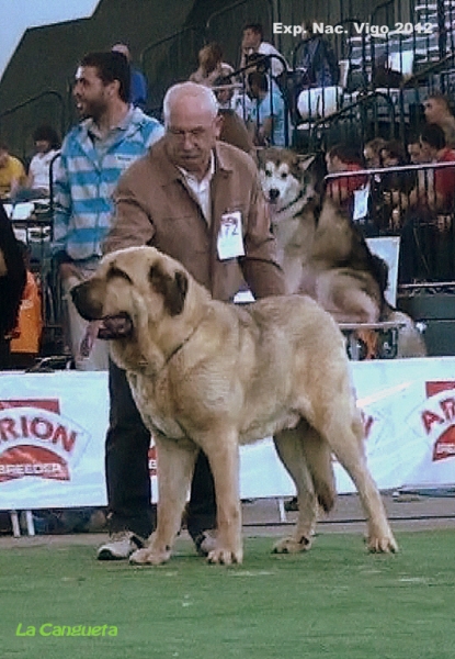 National Show, Vigo, Galicia, Spain, 23.03.2012
Keywords: 2012