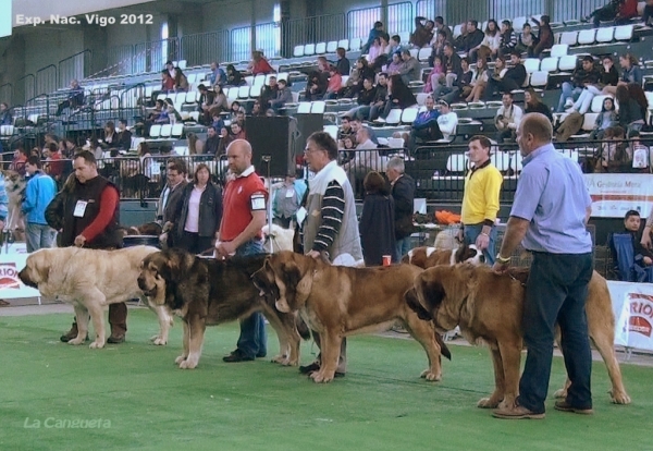 National Show, Vigo, Galicia, Spain, 23.03.2012 
Keywords: 2012