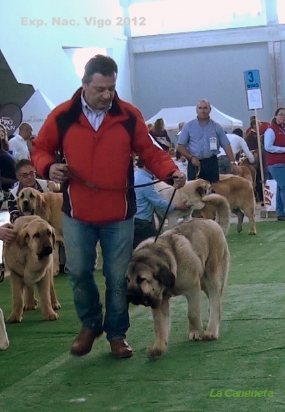 National Show, Vigo, Galicia, Spain, 23.03.2012
Keywords: 2012