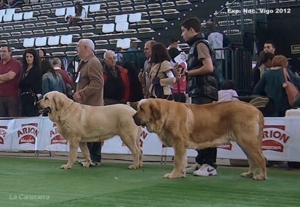 National Show, Vigo, Galicia, Spain, 23.03.2012 
Keywords: 2012