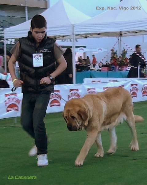 National Show, Vigo, Galicia, Spain, 23.03.2012
Keywords: 2012