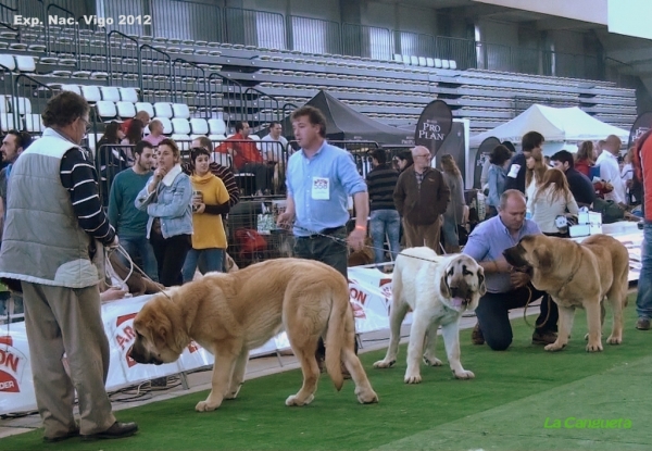 National Show, Vigo, Galicia, Spain, 23.03.2012
Keywords: 2012