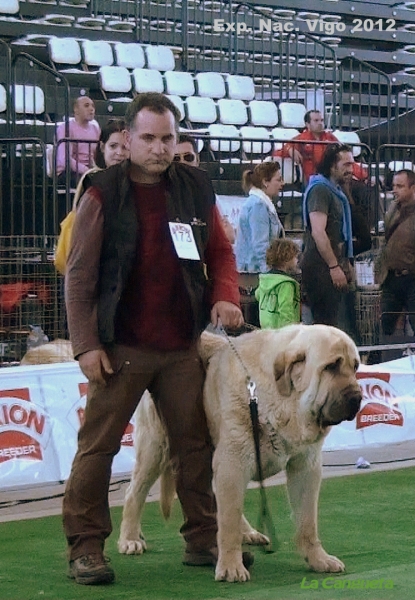 National Show, Vigo, Galicia, Spain, 23.03.2012
Keywords: 2012