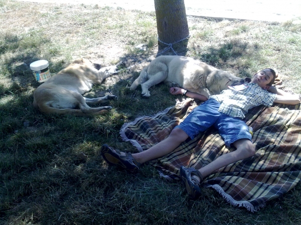 LA SIESTA DE LOS CACHORROS
Durmiendo la siesta a la sombra tras el concurso de Xinzo de Limia 2009 de AEPME. Triana, Bach y Ramón
Keywords: cangueta