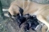 Filename=12092011438.jpg
Filesize=467KiB
Dimensions=1544x1026
Date added=%368 %13, %2011 12092011438.jpg