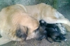 Filename=12092011440.jpg
Filesize=434KiB
Dimensions=1636x1093
Date added=%368 %13, %2011 12092011440.jpg