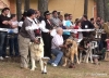 Camposagrado2011_17.jpg