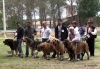 Camposagrado2011_26.jpg