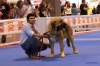 Filename=Esp__RREE_Mayo2012_04.jpg
Filesize=295KiB
Dimensions=1024x684
Date added=%295 %14, %2012 Esp__RREE_Mayo2012_04.jpg