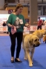 Filename=Esp__RREE_Mayo2012_13.jpg
Filesize=560KiB
Dimensions=654x978
Date added=%300 %14, %2012 Esp__RREE_Mayo2012_13.jpg