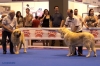 Filename=Esp__RREE_Mayo2012_17.jpg
Filesize=305KiB
Dimensions=1024x684
Date added=%300 %14, %2012 Esp__RREE_Mayo2012_17.jpg