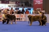 Filename=Esp__RREE_Mayo2012_18.jpg
Filesize=308KiB
Dimensions=1024x684
Date added=%300 %14, %2012 Esp__RREE_Mayo2012_18.jpg