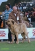 Vigo2012_14.jpg