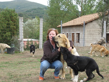 Mastines from Spain
