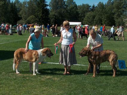 Clase cachorros ,  Mejor macho y hembra - Näyttely, Finland 2010
Mejor macho y hembra
Keywords: 2010