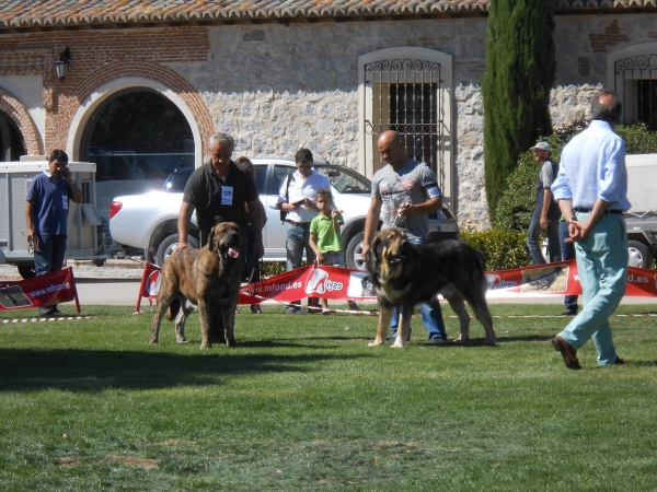 Avila 21.09.2013
Keywords: 2013