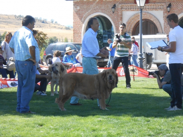 Avila 21.09.2013
Keywords: 2013