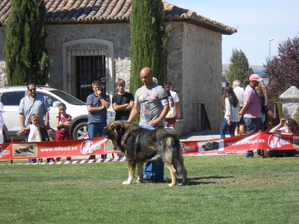 Avila 21.09.2013
Keywords: 2013