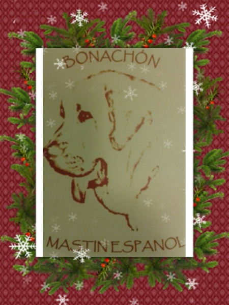  Bonachón mastín español Finlandia deseo a todos una Feliz Navidad, Hyvää Joulua !
Keywords: xmas