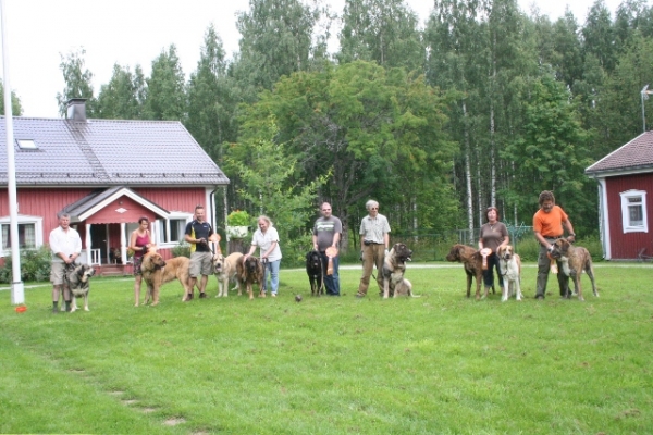 Todos Bonachon mastin espanol de eventos Finlandia 2011
Keywords: 2011