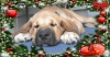 Filename=2016-jou-14-13-08-40.jpg
Filesize=228KiB
Dimensions=1280x672
Date added=%646 %22, %2016 2016-jou-14-13-08-40.jpg