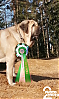 Filename=20200826_164955.png
Filesize=717KiB
Dimensions=503x847
Date added=%626 %26, %2020 20200826_164955.png