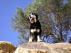 Filename=Blakipallero.jpg
Filesize=163KiB
Dimensions=768x576
Date added=%610 %13, %2010 Blakipallero.jpg