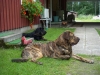 Filename=HPIM1563.jpg
Filesize=84KiB
Dimensions=640x480
Date added=%692 %05, %2012 HPIM1563.jpg
