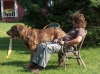Filename=HPIM3907.JPG
Filesize=1031KiB
Dimensions=2047x1532
Date added=%631 %27, %2012 HPIM3907.JPG