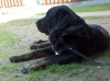 Filename=HPIM3993.JPG
Filesize=857KiB
Dimensions=2047x1532
Date added=%625 %27, %2012 HPIM3993.JPG