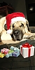 Filename=IMG_201.jpg
Filesize=348KiB
Dimensions=912x1824
Date added=%652 %16, %2021 IMG_201.jpg