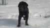 Filename=Karo1.JPG
Filesize=55KiB
Dimensions=704x396
Date added=%722 %22, %2011 Karo1.JPG