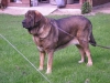 Filename=Sylvi1.JPG
Filesize=124KiB
Dimensions=768x576
Date added=%320 %27, %2012 Sylvi1.JPG