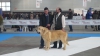 Filename=Valladolid122015.jpg
Filesize=115KiB
Dimensions=704x396
Date added=%464 %01, %2015 Valladolid122015.jpg