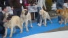 Filename=Valladolid82015.jpg
Filesize=124KiB
Dimensions=704x396
Date added=%461 %01, %2015 Valladolid82015.jpg