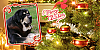 Filename=hyvaa_joulua.png
Filesize=554KiB
Dimensions=640x320
Date added=%610 %22, %2019 hyvaa_joulua.png