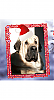 Filename=hyvaa_joulua1.png
Filesize=266KiB
Dimensions=348x640
Date added=%611 %22, %2019 hyvaa_joulua1.png