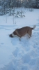 Filename=tammikuu20114.JPG
Filesize=49KiB
Dimensions=396x704
Date added=%691 %20, %2011 tammikuu20114.JPG