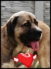 Filename=ALKINO_REP_II.jpg
Filesize=178KiB
Dimensions=453x601
Date added=%666 %24, %2009 ALKINO_REP_II.jpg