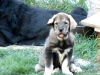 Filename=DSC00271.JPG
Filesize=269KiB
Dimensions=640x480
Date added=%969 %01, %2012 DSC00271.JPG