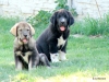 Filename=DSC00636.JPG
Filesize=270KiB
Dimensions=640x480
Date added=%968 %01, %2012 DSC00636.JPG