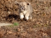 Filename=DSC05925.JPG
Filesize=211KiB
Dimensions=640x480
Date added=%666 %28, %2012 DSC05925.JPG