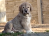 Filename=DSC06169.JPG
Filesize=170KiB
Dimensions=640x480
Date added=%663 %28, %2012 DSC06169.JPG