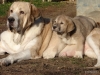 Filename=DSC06245.JPG
Filesize=162KiB
Dimensions=640x480
Date added=%662 %28, %2012 DSC06245.JPG