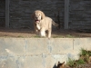 Filename=DSC06307.JPG
Filesize=162KiB
Dimensions=640x480
Date added=%661 %28, %2012 DSC06307.JPG