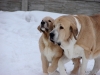 Filename=DSC06778.JPG
Filesize=162KiB
Dimensions=640x480
Date added=%418 %22, %2013 DSC06778.JPG