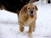 Filename=DSC07396.JPG
Filesize=170KiB
Dimensions=640x480
Date added=%419 %22, %2013 DSC07396.JPG