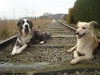 Filename=DSC04210.JPG
Filesize=893KiB
Dimensions=1632x1224
Date added=%660 %16, %2009 DSC04210.JPG