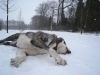 Filename=DSC04288.JPG
Filesize=824KiB
Dimensions=1632x1224
Date added=%707 %09, %2010 DSC04288.JPG