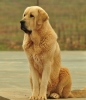 Filename=013.jpg
Filesize=69KiB
Dimensions=663x768
Date added=%911 %30, %2011 013.jpg
